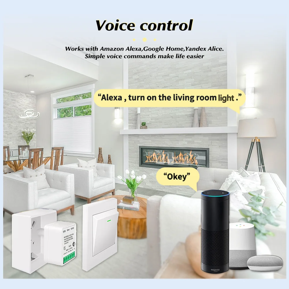 For Tuya Mini Smart WiFi Switc - Smart Home Google Assistant 评论和价格