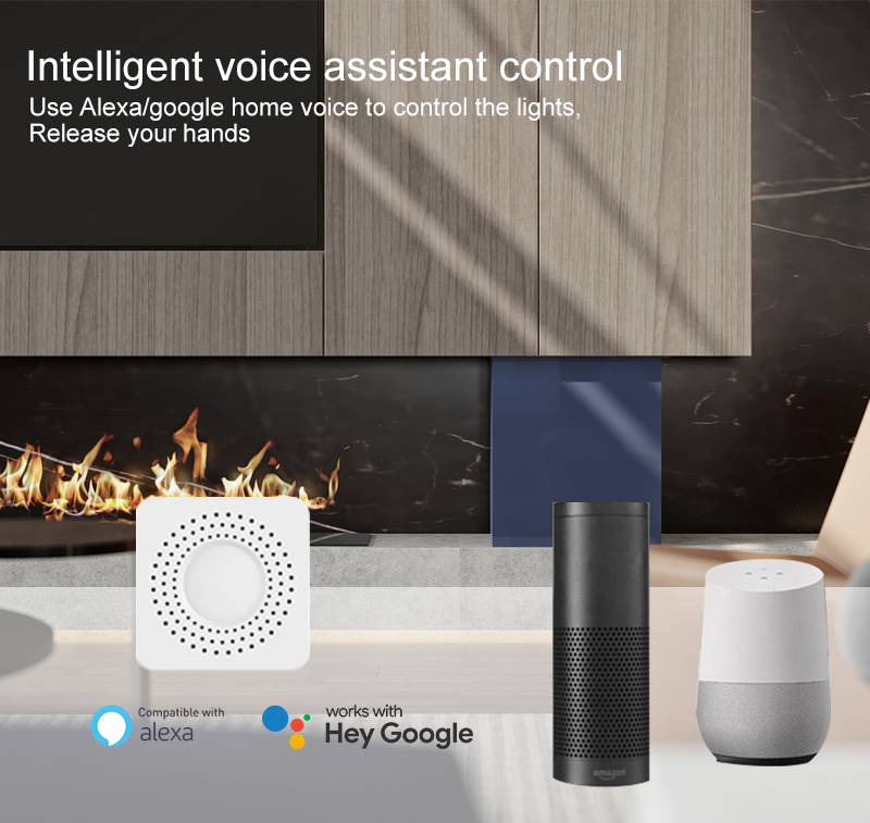 Tuya Mini Smart Switch WiFi 1- - Smart Home Switch 评论和价格
