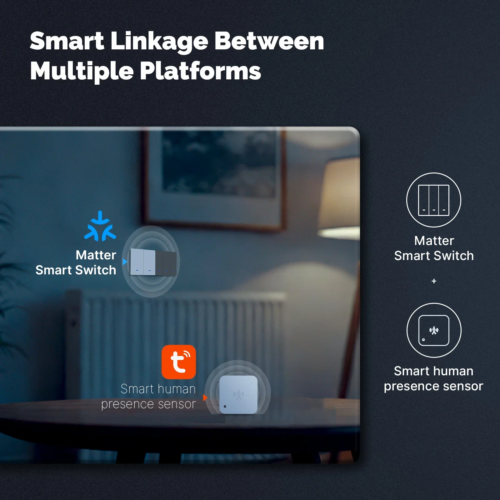 MOES Matter Tuya WiFi Smart Li - Smart Home Ikea 评论和价格