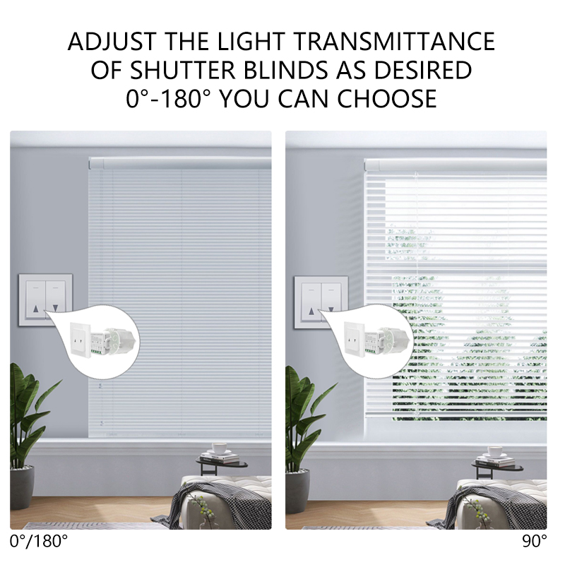 Tuya WiFi Curtain Switch Modul - Curtain Motor 评论和价格
